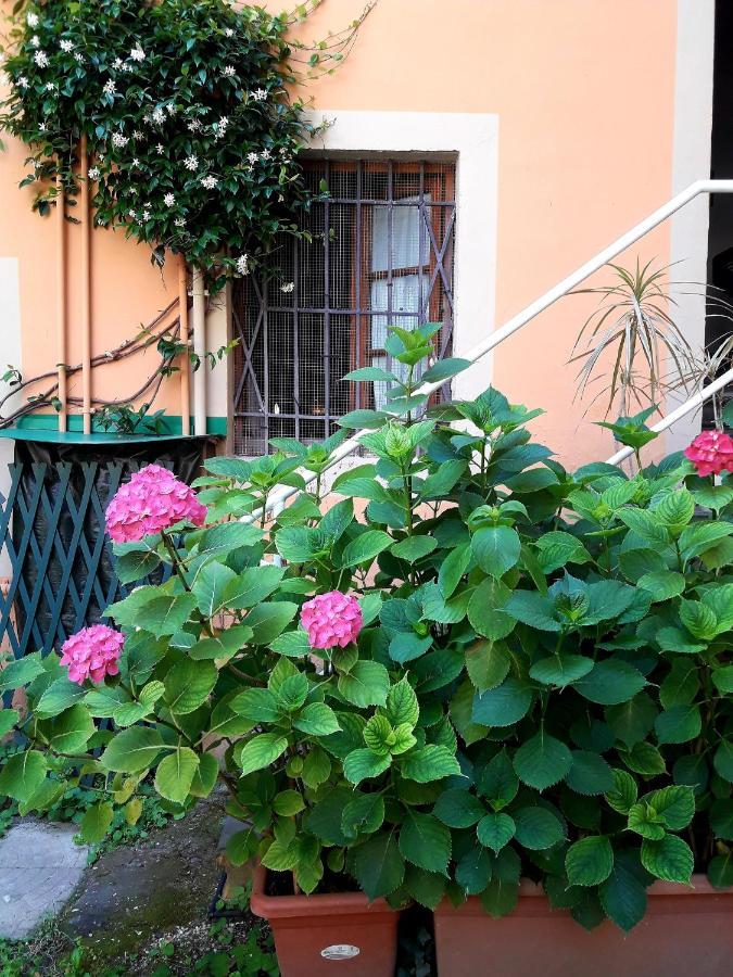 Il Campanile II Locazione Turistica Hotel Pisa Ngoại thất bức ảnh